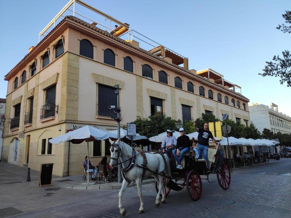 La Terraza Del Puente Y Mezqt-Catedral Διαμέρισμα Κόρδοβα Εξωτερικό φωτογραφία